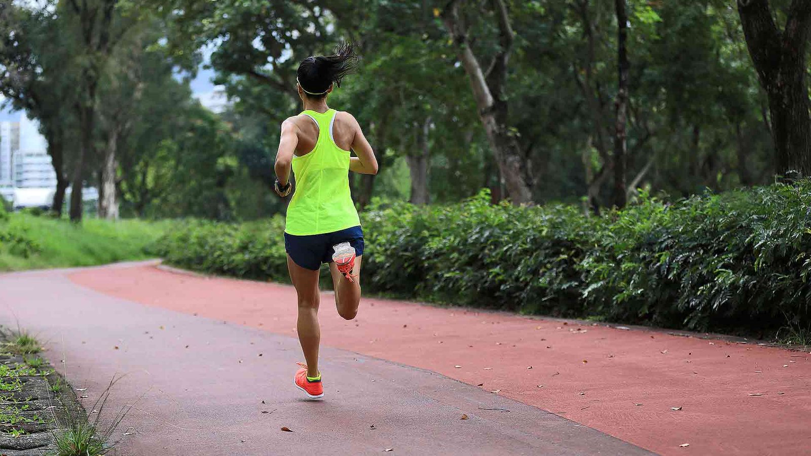 Jogging Track Walkway