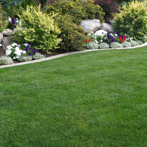 Party Lawn