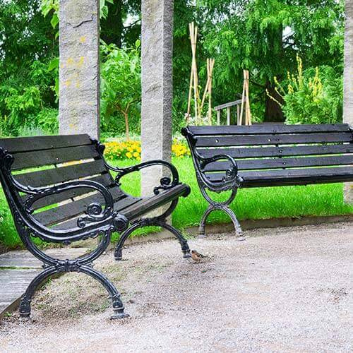 Senior Citizen sit-out