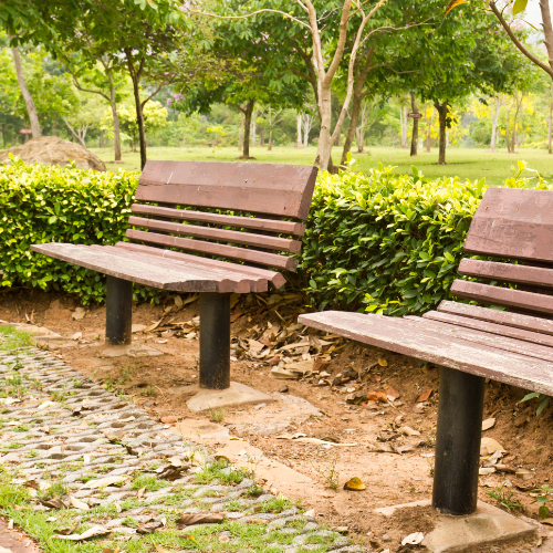 Senior Citizen Zone