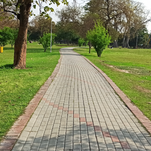 Walking Path